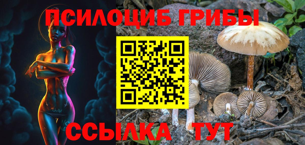 Галлюциногенные грибы Psilocybe  Вход с VPN  Солнечногорск  Псилоцибиновые грибы прущие грибы 